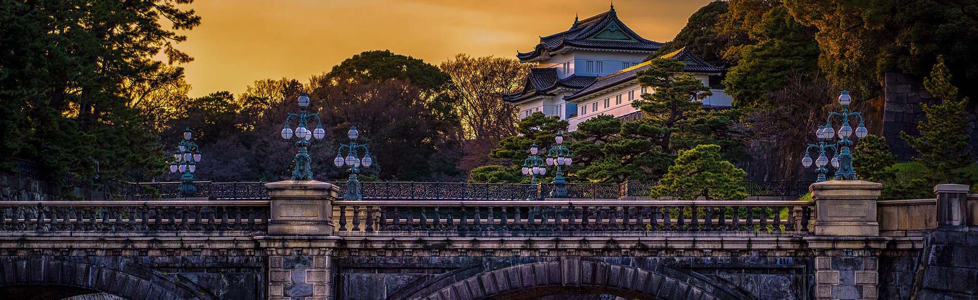 One day tour of Japanese history and culture Evolved Guide