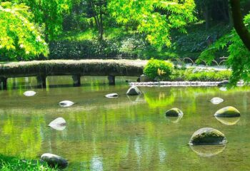 Tour of the Japanese Gardens in Tokyo